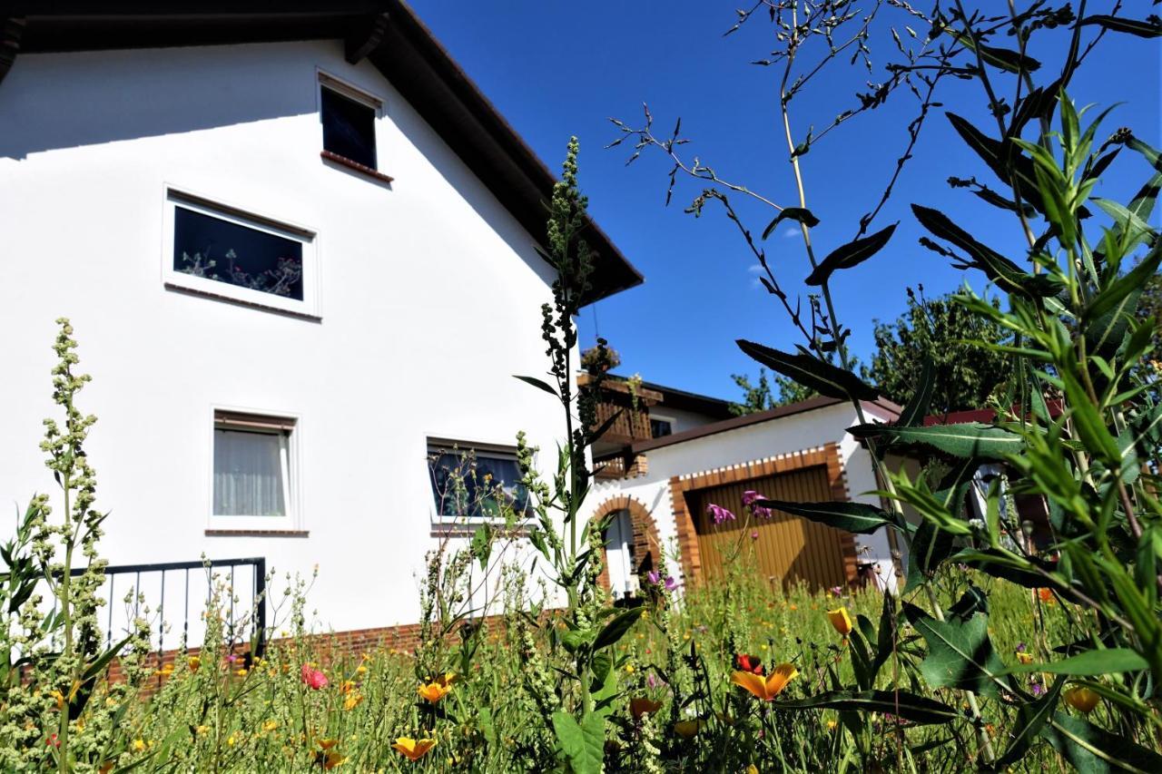 Ferienwohnung-M8 Im Schoenen Werratal Jestadt Esterno foto